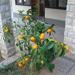 Apartament Macola *