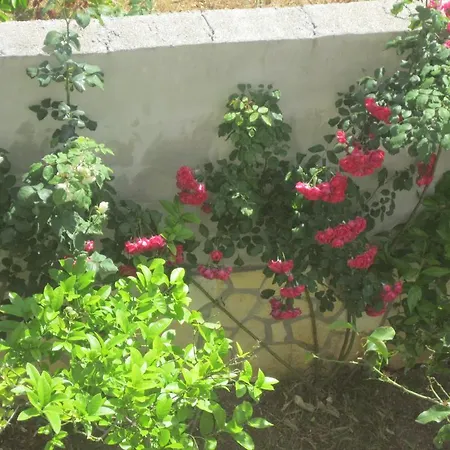 Macola Апартаменты *