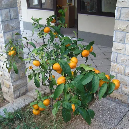 Апартаменты Macola *