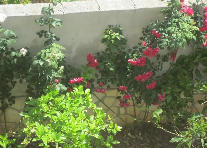 Macola Appartement *